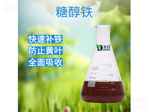 �Ǵ���-���ũҵ