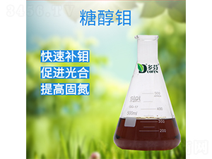 �Ǵ���-���ũҵ