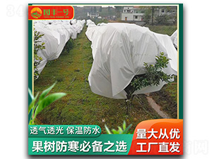 ����������-�����Ƽ�
