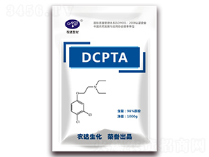 DCPTA������-ũ������
