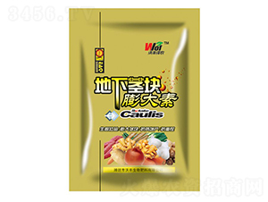 ���¾��������-�ַ���ũ-�ַ�����