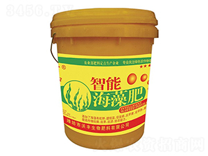 ���ܺ����-�ַ�����