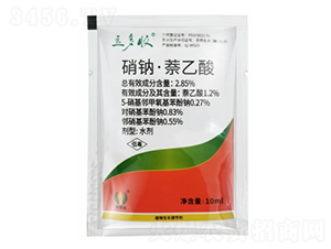 ���ơ�������-������-��������