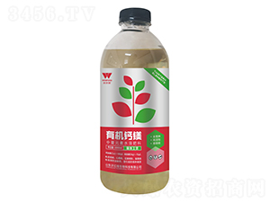 �л���þ-�ֶ���