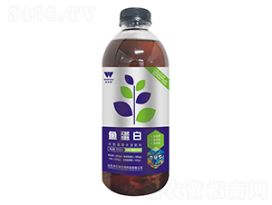 �㵰�׺�������ˮ�ܷ���-�ֶ���
