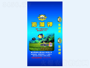 Ħ��纣���-����³
