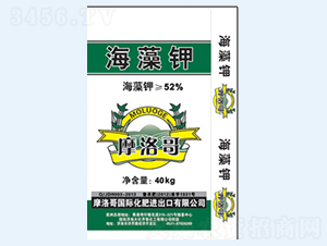 52%Ħ��纣���-����³