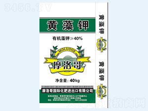 40%Ħ��纣���-����³