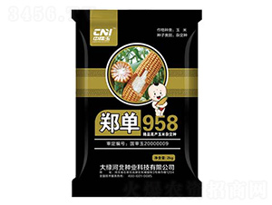 ֣��958-��������-�δ���