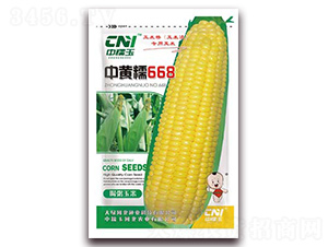 �л�Ŵ668-Ŵ��������-�δ���