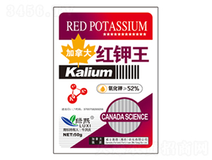 50g�����-����-��ʿ����