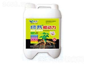 5kg������-����-��ʿ����