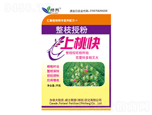 ��֦�ڷ����ҿ�-����-��ʿ����