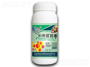 ̦ܿ��-����-��ʿ����