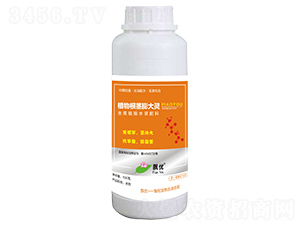 ֲ���������顾500g��-Ʈ��