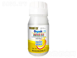 ø�⺣�塤����-�ǵ�ʩ��-�ں�