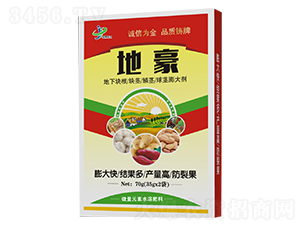 ���¿�����龥���۾���������-�غ�-���ƻ���