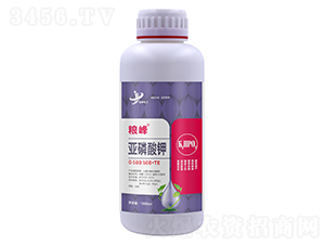 1000ml�������0-500-500+TE-����-���ƻ���