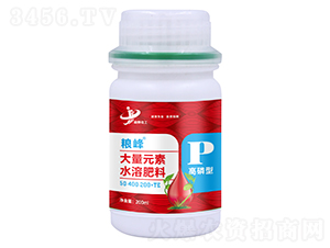 200ml�����ʹ���Ԫ��ˮ�ܷ���50-400-200+TE-����-���ƻ���