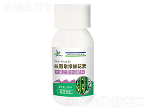 30ml��ֱ�����ʻ��أ��ƹ�ר�ã�-���ƻ���