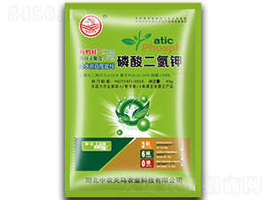 �������أ�45g��-��ũ����-����ũҵ