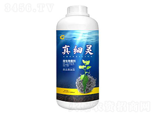 1000ml΢�������-��ϸ��-���ý�