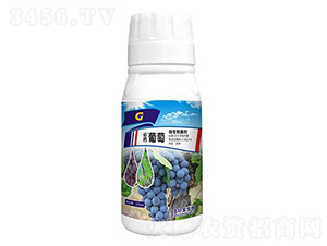100ml΢�������-��ҩ����-���ý�