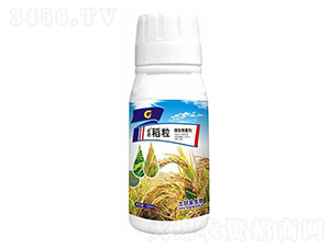 100ml΢�������-��ҩ����-���ý�