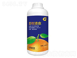 1000ml��ҩ������-���ý�