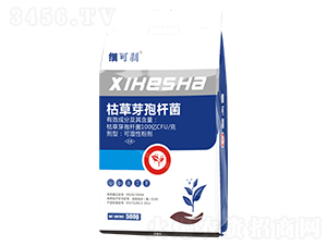 500g�ݲ�ѿ�߸˾�-ϸ��ɲ-���ý�