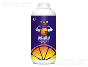 1000ml΢�������-������-���ý�