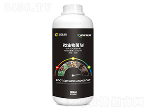 1000ml΢�������-���׸���-���ý�