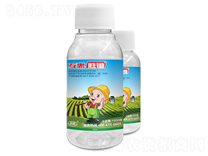 20%�вݿ�ˮ��-����ʤ��