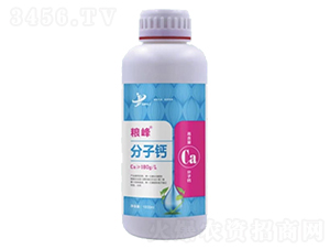 1000ml���Ӹ�-����-���ƻ���