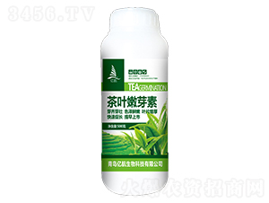 500g��Ҷ��ѿ��-�ں�