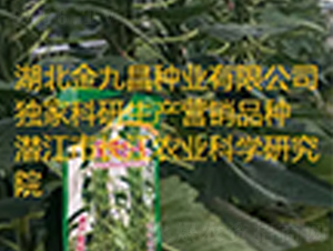����֥һ��֥������Ʒ��