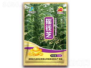 ҡǮ֥-֥������-��Ų�