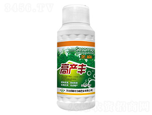 500ml֥��߲���-Ϊ���ҵ