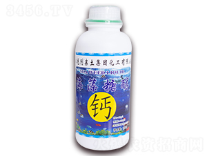 1000g�����Ǵ���-��ɫ������