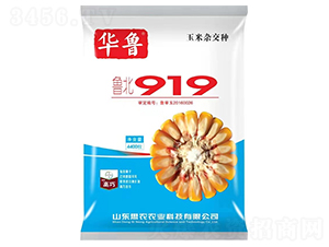 ³��919-��������-�ҷ�ũҵ
