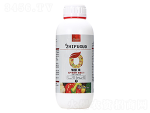 1L�Ƿ���100-0-400+TE-������