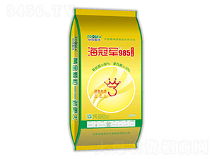 ���ھ�985-�е�����