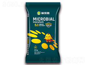 5��˫Դ+��΢�������-ֲ֪Դ-��Ӣ��ó