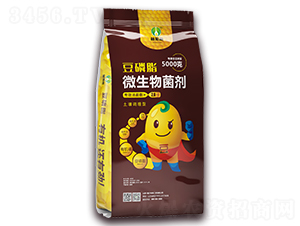 2�ڶ���֬΢�������-ֲ֪Դ-��Ӣ��ó