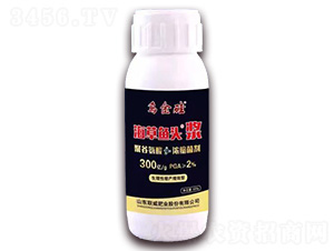 500g������ͷ��-�ڽ��-������ҵ