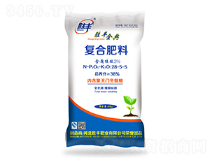����ֲ�Ḵ�Ϸ���28-5-5-ʤ����-ʤ���ҵ