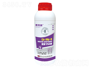 ��þ��Ca+Mg+B��ƿװ��-����-������