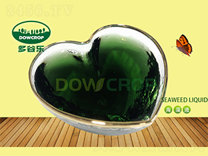 Һ�庣���-�����