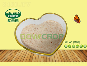 �Ȼ��ط�ĩKCL60-�����