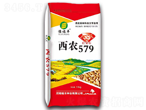��ũ579-С������-ԥ�β�